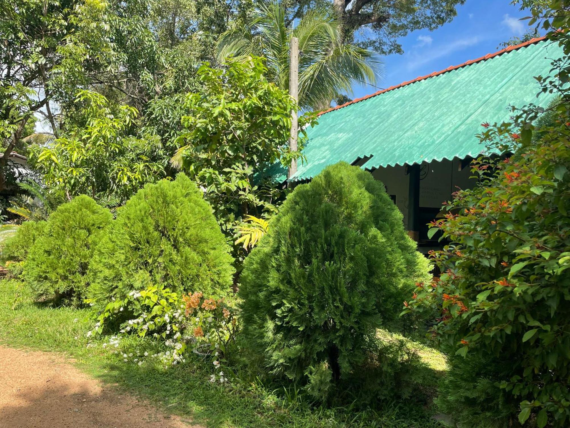 Sigiri Shen Residence Sigiriya Exterior foto
