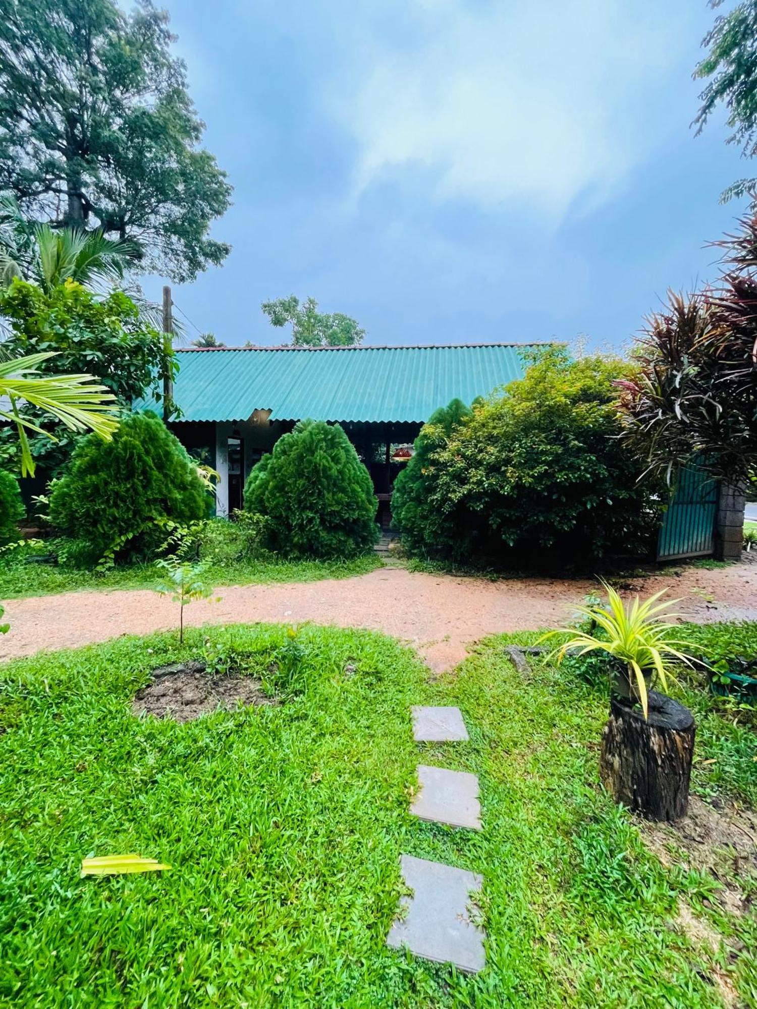 Sigiri Shen Residence Sigiriya Exterior foto